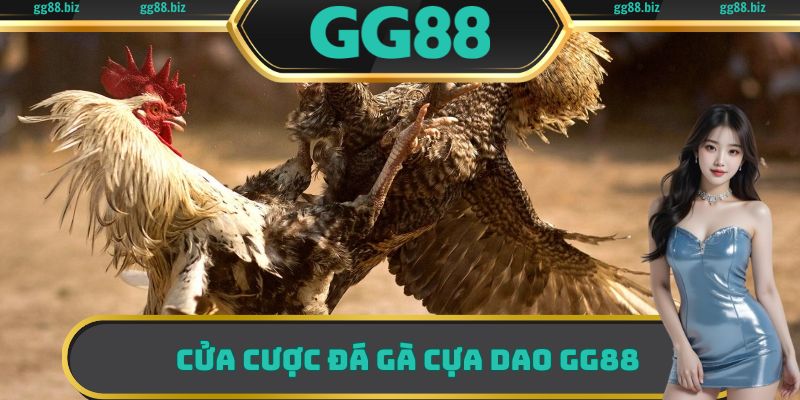 Cửa cược đá gà cựa dao GG88