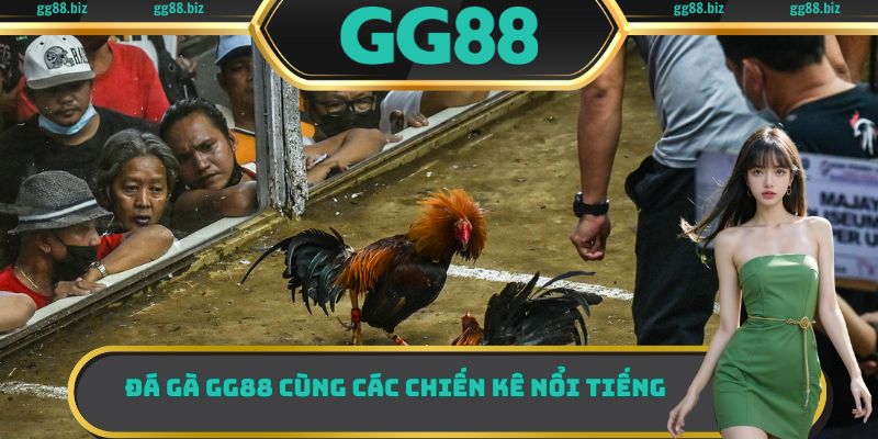 Đá gà GG88 cùng các chiến kê nổi tiếng