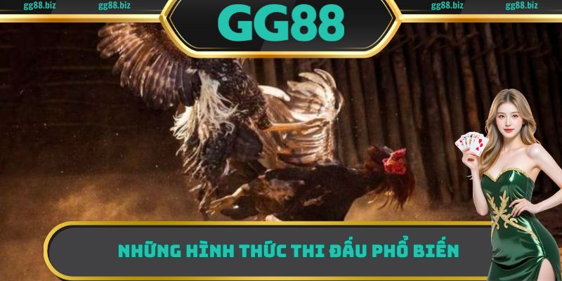 Một vài hình thức thi đấu được nhiều người chơi yêu thích nhất 